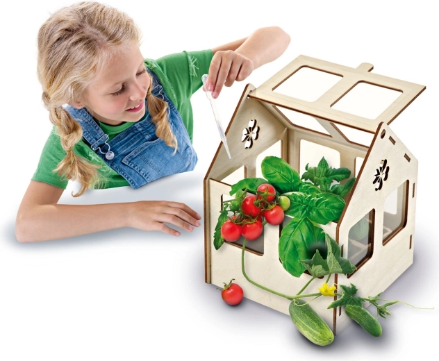 Mini serre en bois sans outils