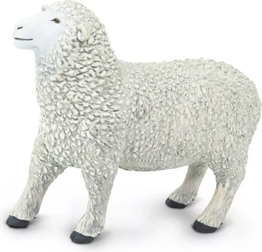 Mouton domestique Safari Ltd. - 1 pièce