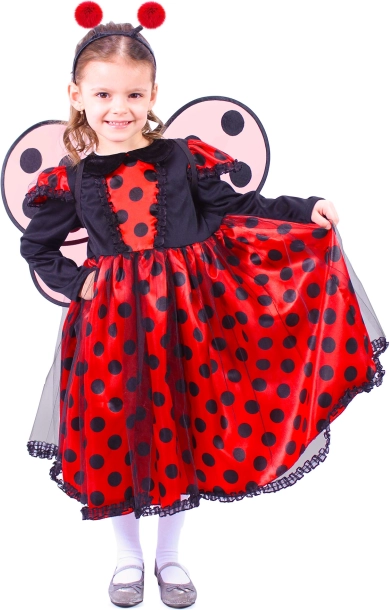 Costume enfant Coccinelle avec ailes et antennes