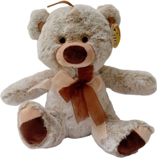 Ourson en peluche marron avec accessoires