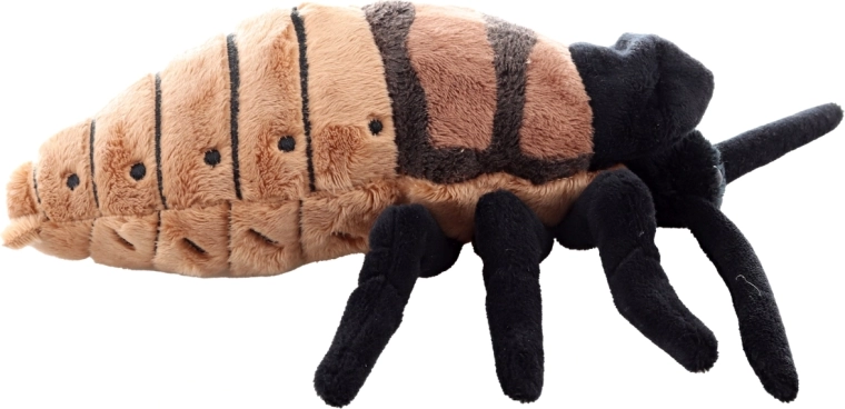 Design réaliste avec finitions détaillées