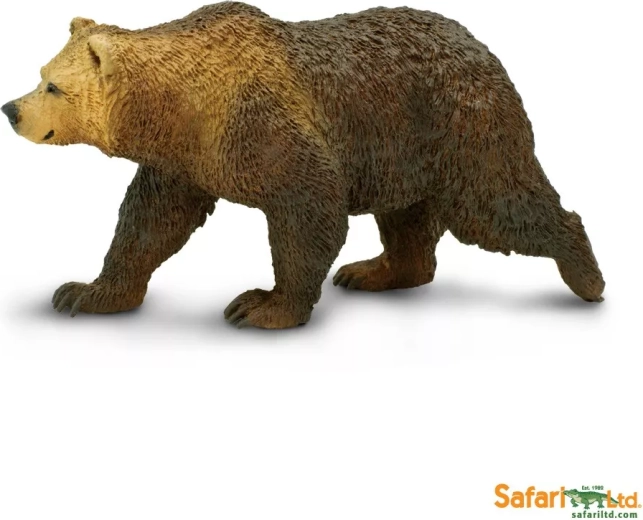 Ours grizzly