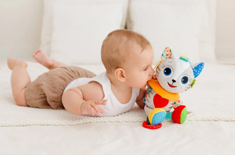 Divertissement et stimulation sensorielle