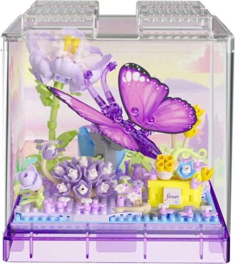 Boîte transparente pour l
