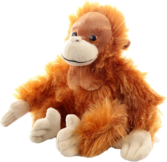 Détails adorables et fabrication de qualité