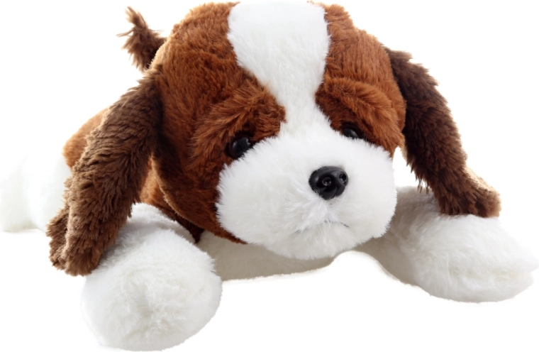 Aspect mignon et réaliste