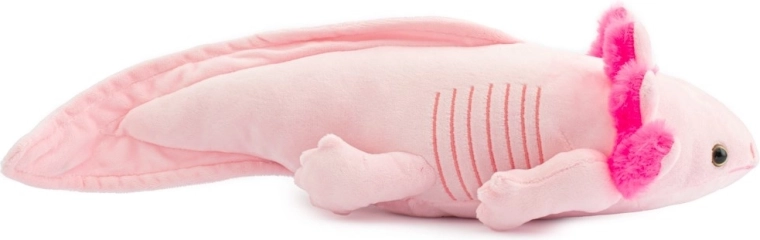 Design adorable qui stimule l’imagination