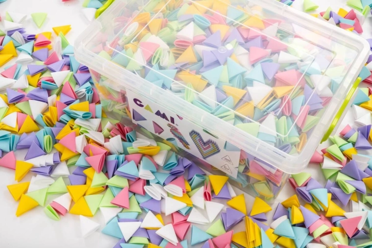 Boîte transparente pratique avec organisation des pièces