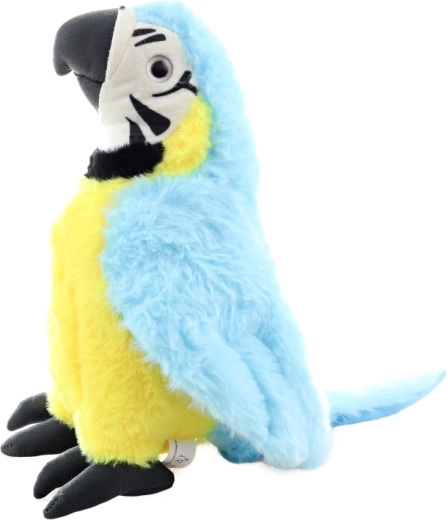 Sûr dès la naissance