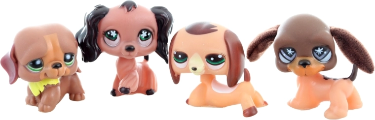 Adorable petit animal prêt à être soigné