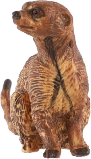 Pour jouer et collectionner