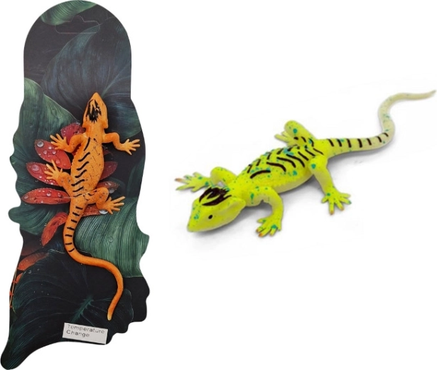 Petit animal lézard changeant de couleur