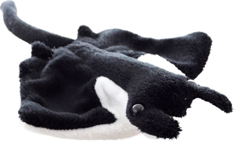 Forme réaliste de la raie manta