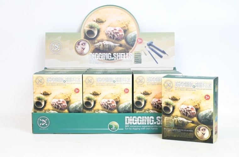 Set de coquillages pour creuser dans le sable pour enfants (12 pcs en présentoir)