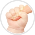 Bois de hêtre naturel – sûr pour bébé