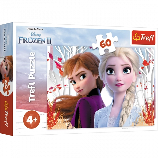 Puzzle 60 pièces Le monde enchanteur d’Anna et Elsa