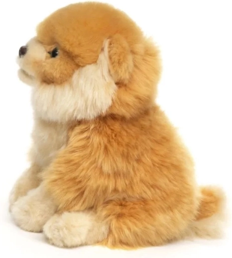 Chien en position assise