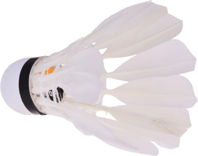 Plumes naturelles pour un vol stable