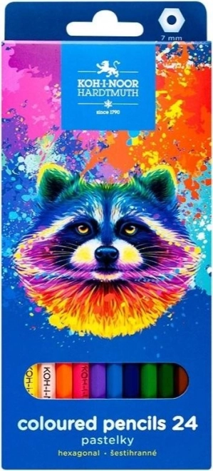 Crayons hexagonaux 24 pcs Raton laveur