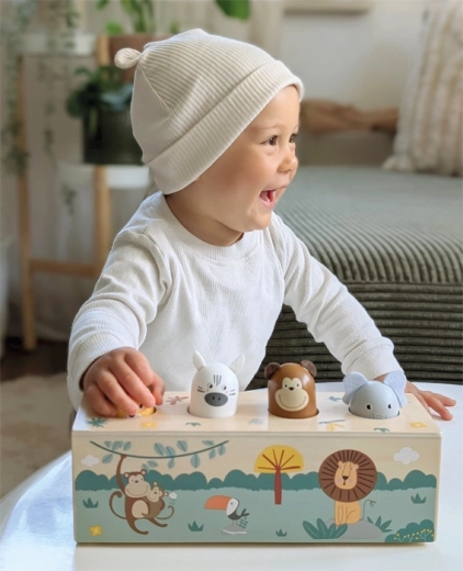 Conception en bois sûre et résistante