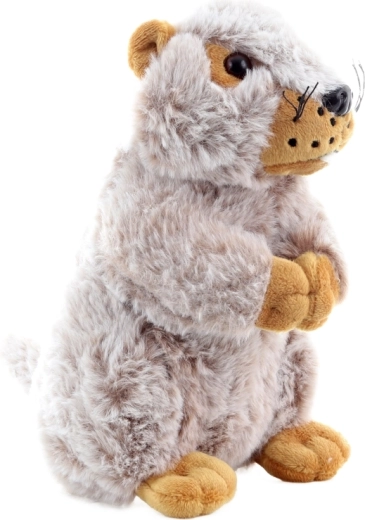 Taille idéale pour les petites mains