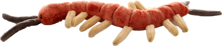 Taille idéale à la maison comme en déplacement