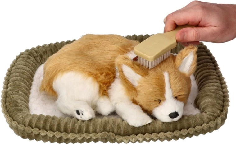 Des soins comme pour un vrai petit chien