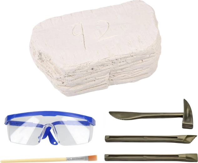 Une véritable expérience de fouille