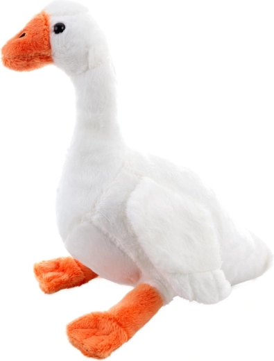 Légère et compacte