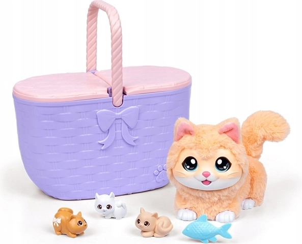 Surprise : 3 chatons dans le panier