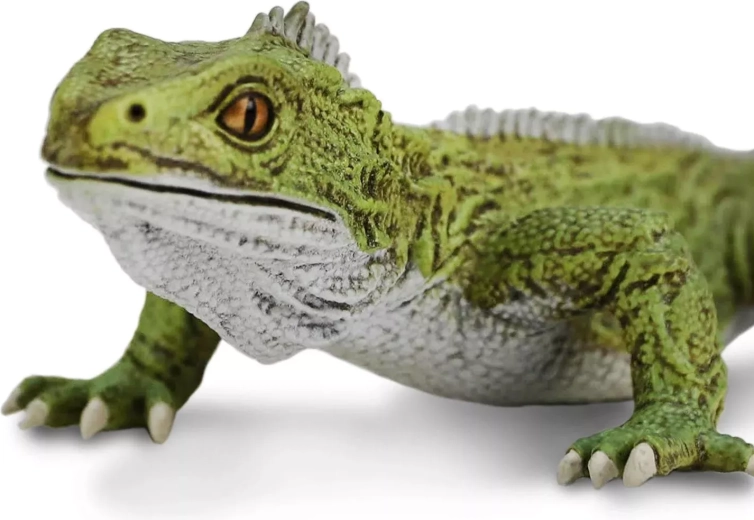 Reproduction fidèle du tuatara jusque dans les moindres détails