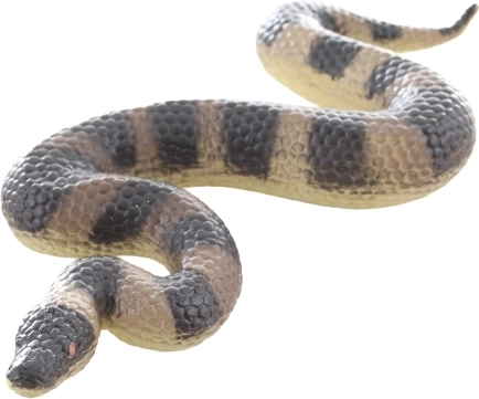 Dimensions compactes pour petits explorateurs