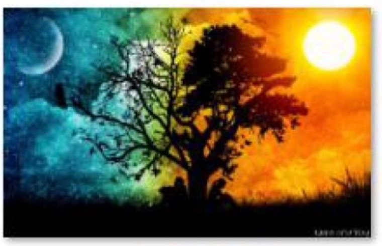 Broderie diamant (diamond painting) Arbre – nuit et jour 40 × 30 cm