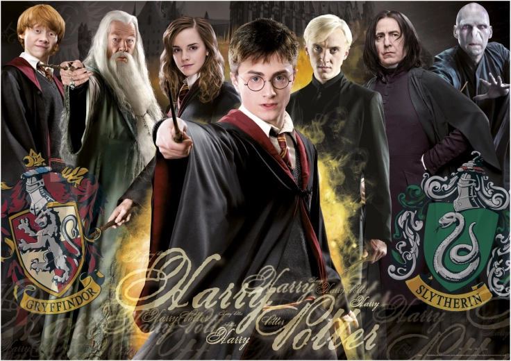 Puzzle Harry Potter 1000 pièces avec colle EDUCA