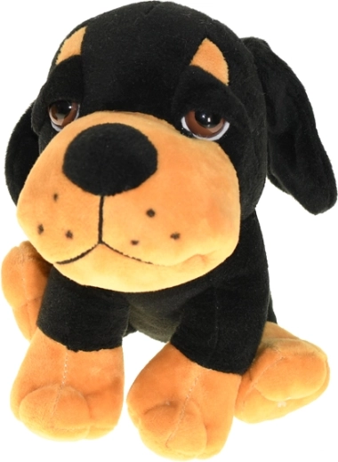 Plusieurs variantes de couleur