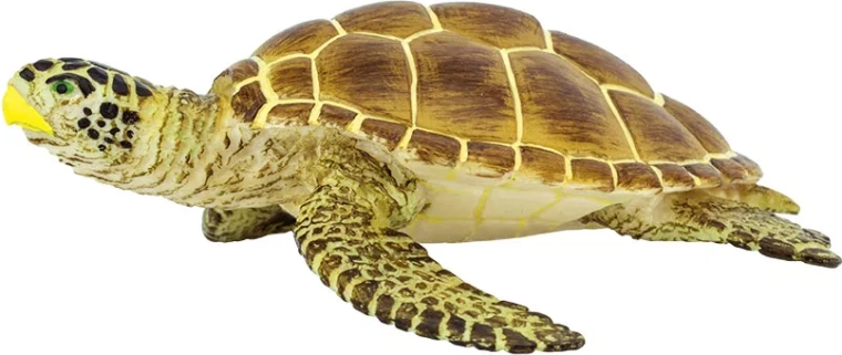 Safari Ltd. tortue caouanne - 1 pièce