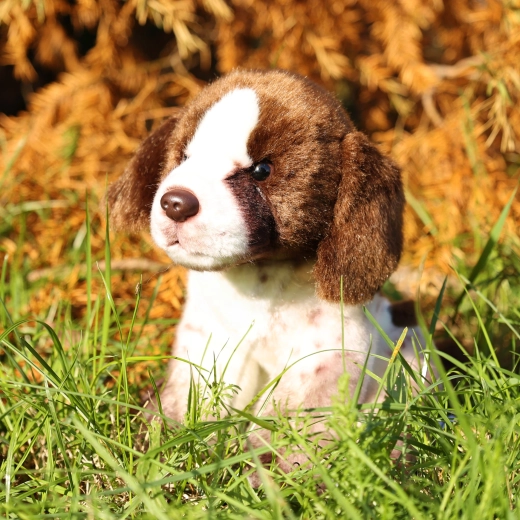 Peluche douce et de qualité