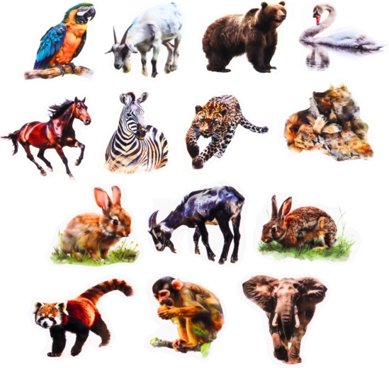 50 motifs d’animaux réalistes