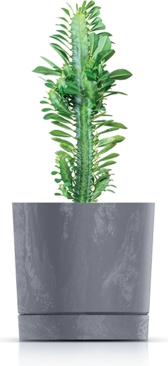 Idéal pour les succulentes, les herbes et les petites plantes