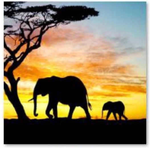 Broderie diamant (diamond painting) – éléphants 30 × 40 cm - 1 pièce