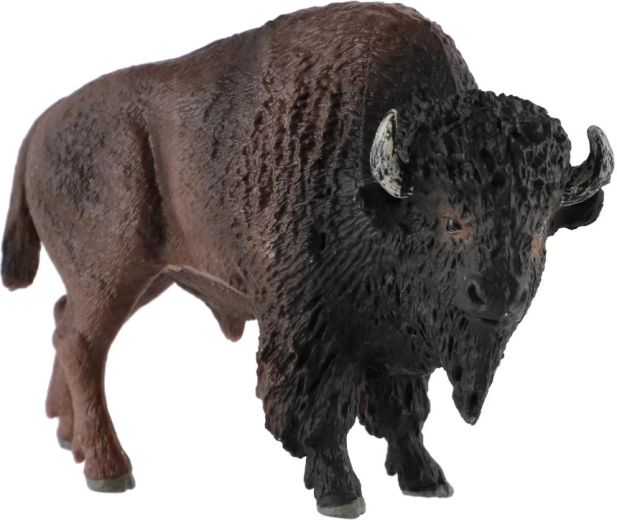 Détails réalistes du bison