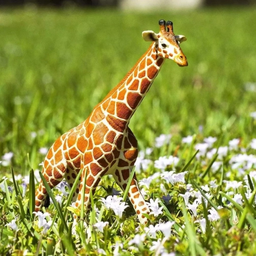 Apprendre en jouant sur les animaux africains