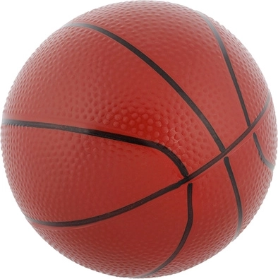 Ballon de basket et pompe à main inclus