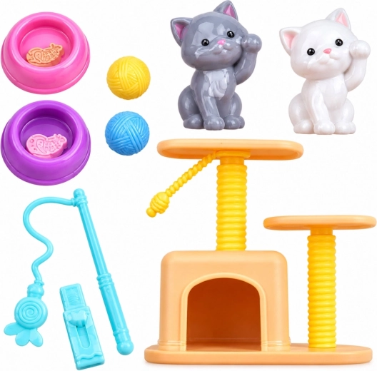 Coin des chats : 2 chatons, griffoir et gamelles