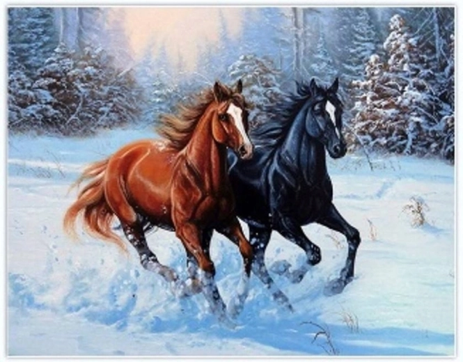 Norimpex peinture diamant Chevaux au galop dans la neige 30 × 40 cm