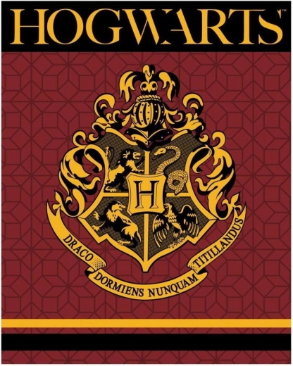 Couverture polaire Harry Potter XL