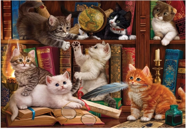 Puzzle Chats dans la bibliothèque 500 pièces