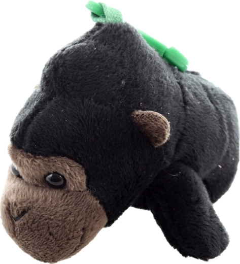 Format compact 12 cm