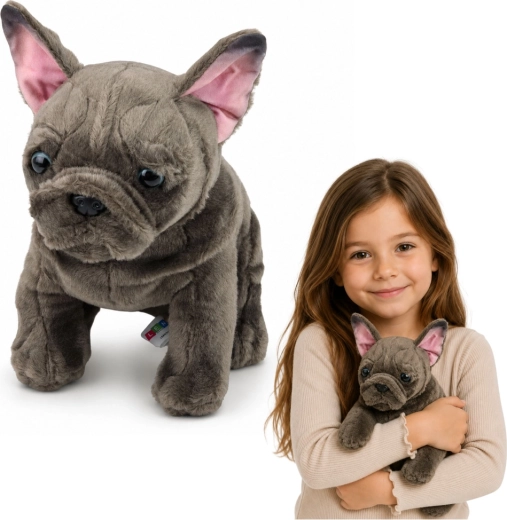 Bouledogue français en peluche 22 cm