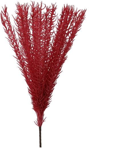 Herbe décorative 85 cm rose